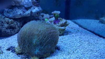 20180124_182442_resized.jpg