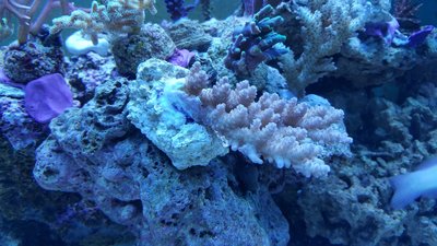 20180124_182452_resized.jpg