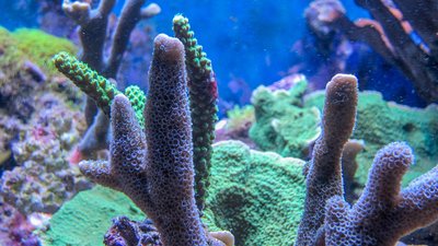 20180228-IMG_0998.jpg