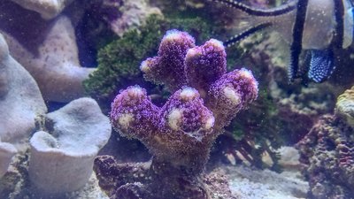 20180310-20180310_174752.jpg