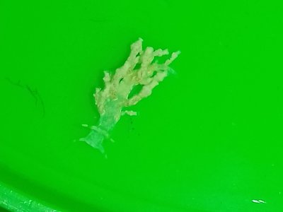20180327_002440-1.jpg