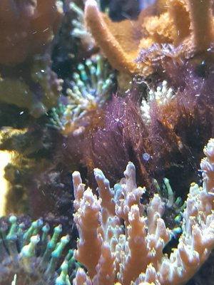 20180414_110746.jpg