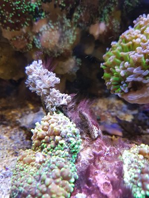 20180417_103912.jpg