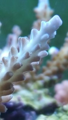 IMG-20180825-WA0062.jpg