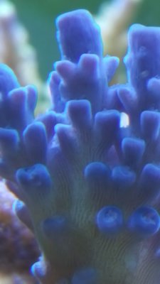 20180820_214800-1195x2124.jpg