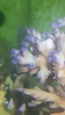 20180825_081444-1195x2124.jpg