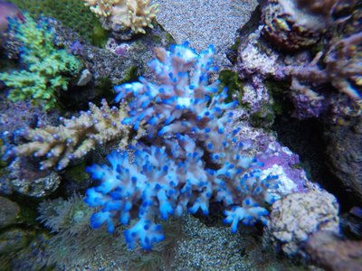 IMG-20180831-WA0068.jpg