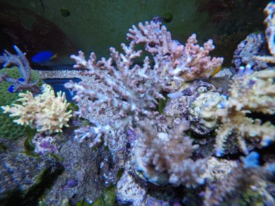 IMG-20180831-WA0069.jpg