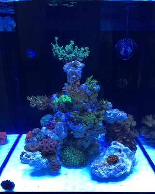 869FBE91-2934-4F7F-92C9-B2FD346D37D7.jpeg (222.01 KiB) 25063 mal betrachtet 08.07.2018 Beckenstart