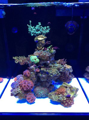 2155DCA3-17C0-40FD-969B-5F5AE48CAA89.jpeg (283.56 KiB) 25061 mal betrachtet 06.08.2018 Standzeit 1 Monat