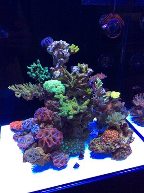 88D7736C-499A-414A-BE59-887A2D554104.jpeg (316.04 KiB) 25060 mal betrachtet 07.09.2018 Standzeit 2 Monate