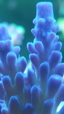 20181014_181746-1195x2124.jpg