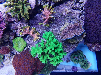 20181111_141849-1612x1209.jpg