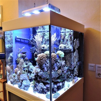 Aquarium Ecke .JPG