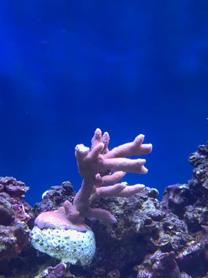 IMG_5251 (Large).JPG
