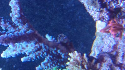 IMG-20190505-WA0009.jpeg