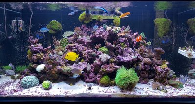 Aquarium.jpg