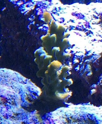 image.jpeg