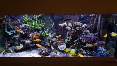 DSC_0138-min.JPG