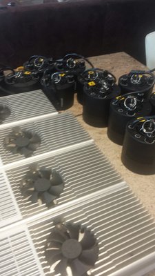 20151017_130528_resized.jpg (639.59 KiB) 8462 mal betrachtet Grössenvergleich zu vorher