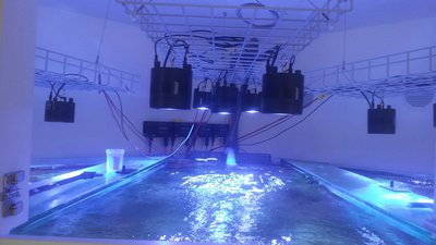 20151017_141021_resized.jpg (698.46 KiB) 8461 mal betrachtet Einfache Montage