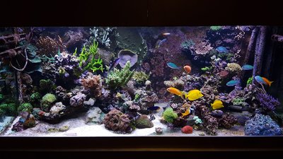 DSC_0412-min.JPG