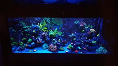 DSC_0409-min.JPG