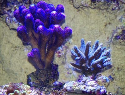 IMGP6056 (3).jpg