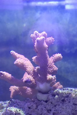 IMG_20201231_111024.jpg