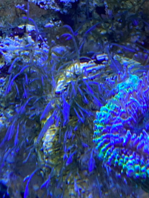 9FD55CA2-E7FD-4F0B-9810-ABA5588551E2.jpeg