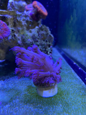 4D3891F1-8AA5-42A1-9277-82BFB477754E.jpeg