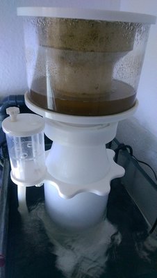 IMAG0734.jpg