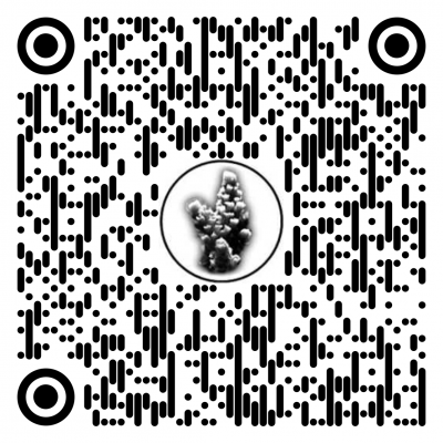 qr-code.png