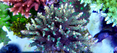 20220413_174715_copy_2312x1042.jpg