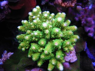 IMG_0739.jpg