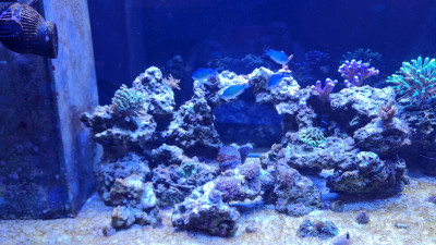 IMG-20230113-WA0006.jpeg