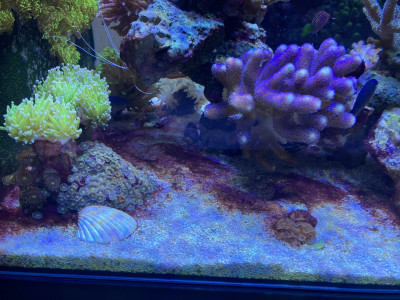 IMG_7402.jpeg
