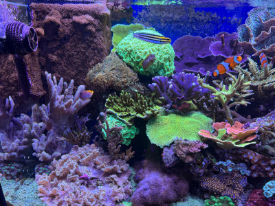 Aquarium 3.jpg