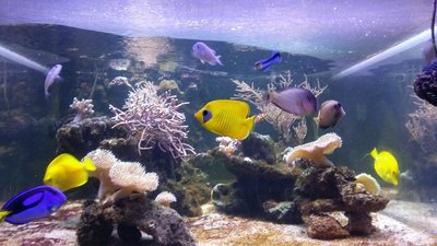 20151202_161105.JPG