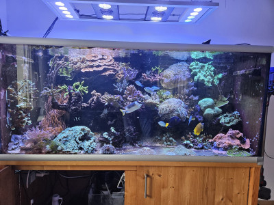 09.02.2025.jpg
