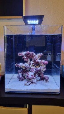 nano01.jpg