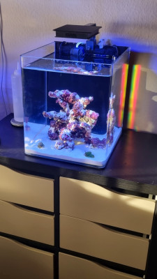 nano02.jpg