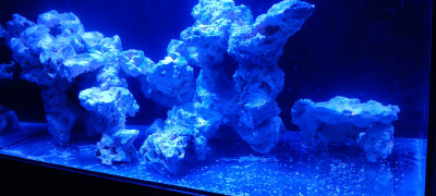 20250523_194606-min.jpg
