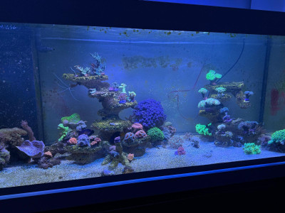 foto von vor 1 Woche