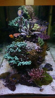 DSC_0087.JPG