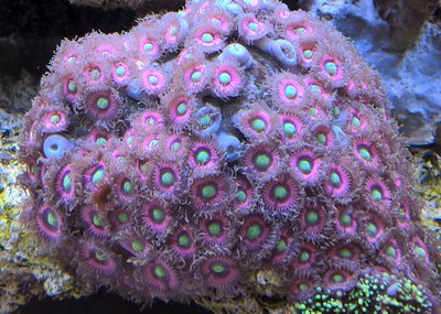 WP_20151216_13_02_59_Pro.jpg