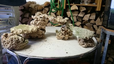 DSC_0282.jpg