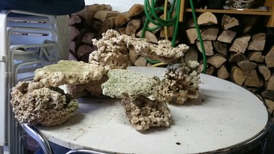 DSC_0280.jpg
