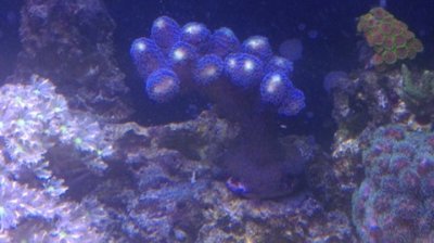 IMAG0678.jpg