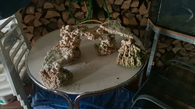 DSC_0334.jpg